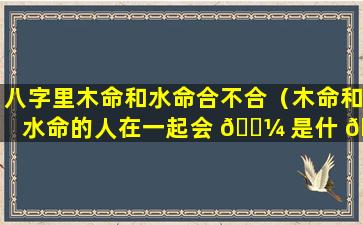 八字里木命和水命合不合（木命和水命的人在一起会 🐼 是什 🌾 么样）